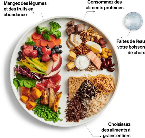 Assiette du guide alimentaire canadien, repas équilibré