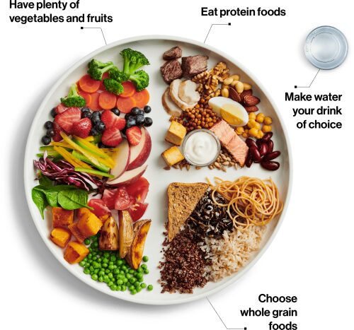 Canadian food guide