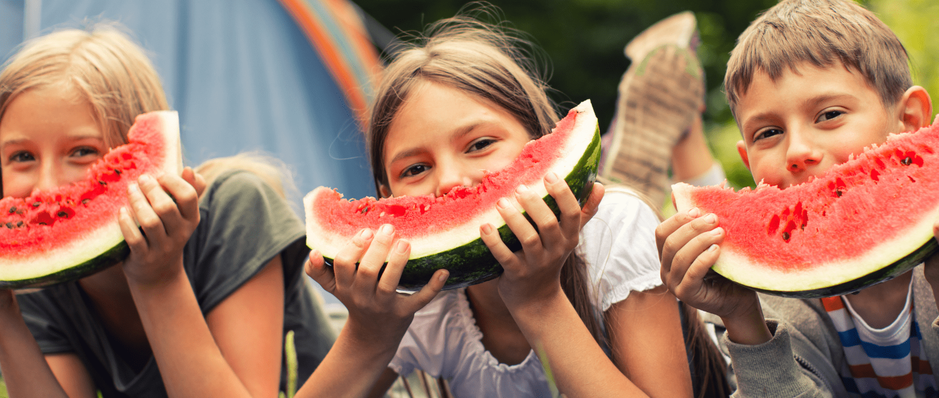 food safety for kids in summer camp