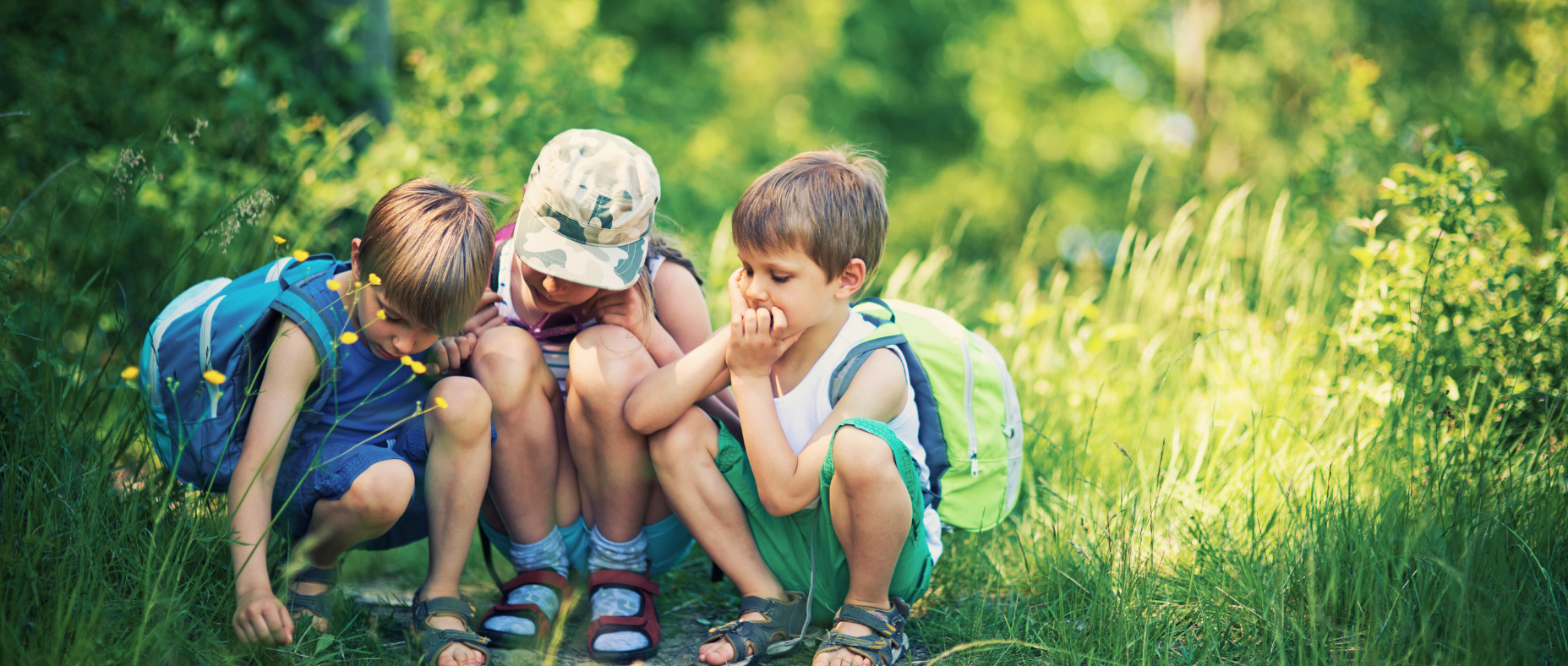 kids lookin for insects