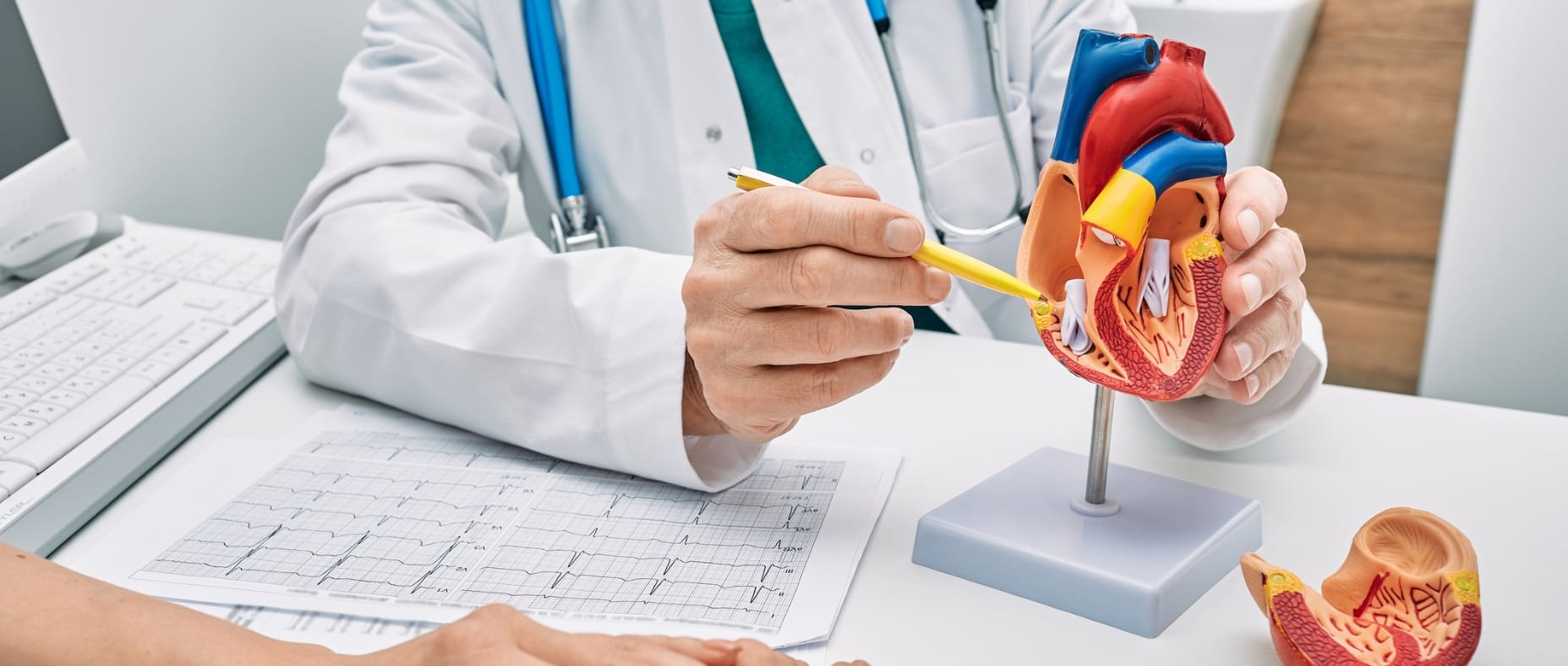 cardiology specialist with a patient